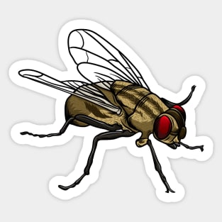 Housefly Sticker